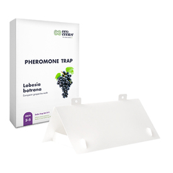 Image-product