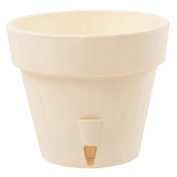 Image-product