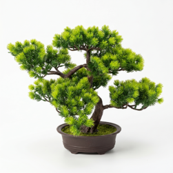 Image-product