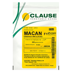 Image-product