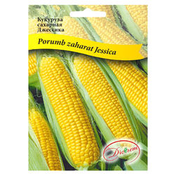 Image-product