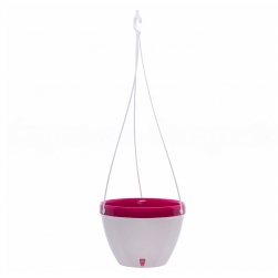 Image-product