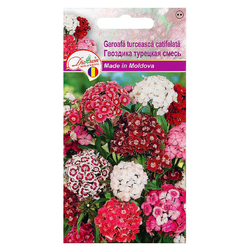Image-product
