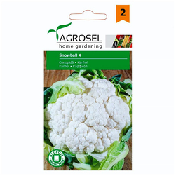 Image-product