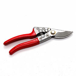 Image-product