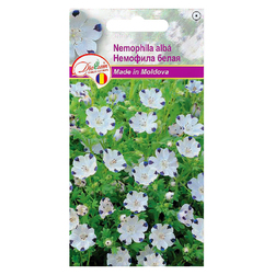 Image-product