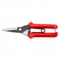 Image-product