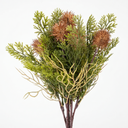 Image-product