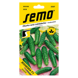 Image-product