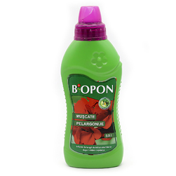 Image-product