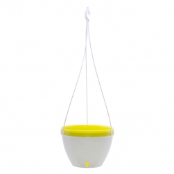 Image-product