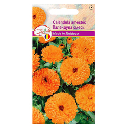 Image-product