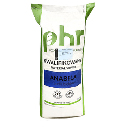 Image-product