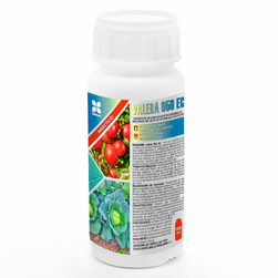 Image-product