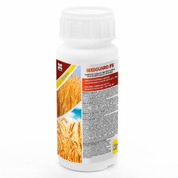 Image-product