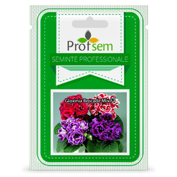 Image-product