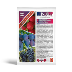 Image-product