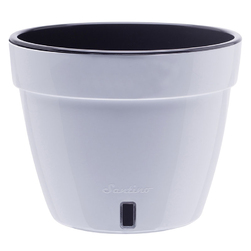 Image-product