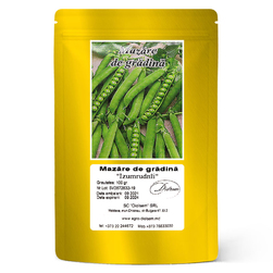 Image-product