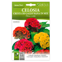 Image-product