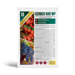 Image-product