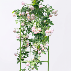 Image-product
