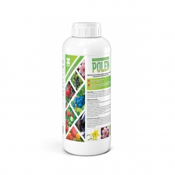 Image-product
