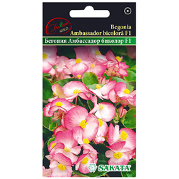Image-product