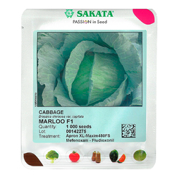 Image-product