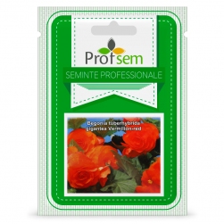 Image-product