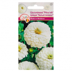 Image-product