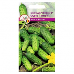 Image-product