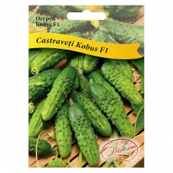 Image-product