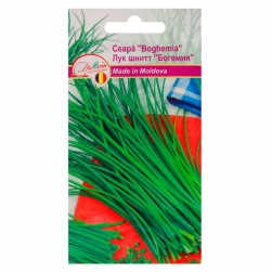Image-product