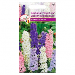 Image-product