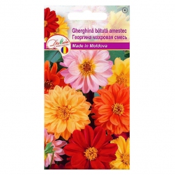 Image-product
