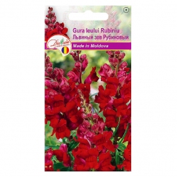 Image-product