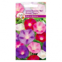 Image-product