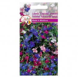 Image-product