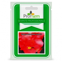 Image-product