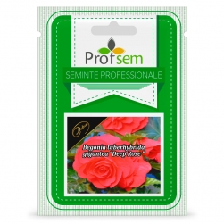 Image-product