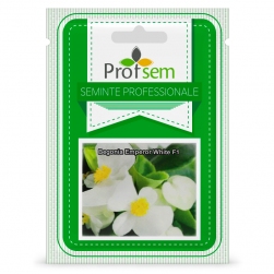 Image-product
