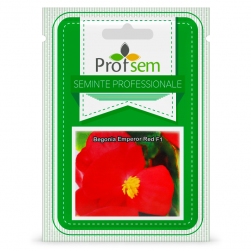 Image-product