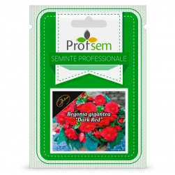 Image-product