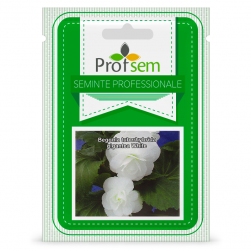 Image-product