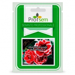 Image-product