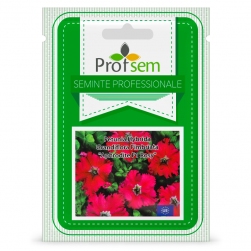 Image-product