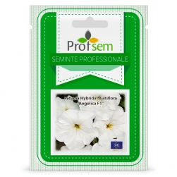 Image-product