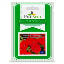 Image-product