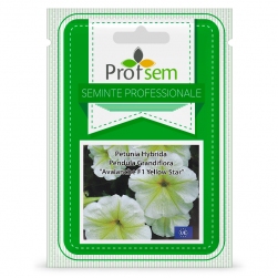 Image-product